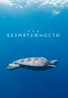  Мир безмятежности смотреть онлайн сериал 1 сезон 